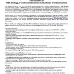Fully Funded PhD Position in RNA Biology, Functional Genomics & Synthetic Transcriptomics – Germany