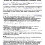 PhD Position