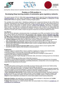 PhD Position
