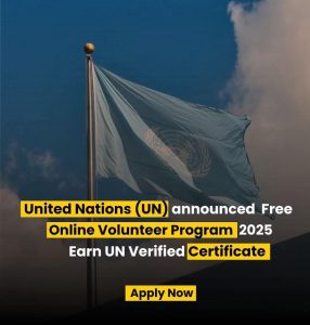 United Nations remotely