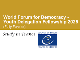 Youth Delegation Fellowship